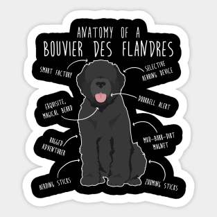 Bouvier Des Flandres Dog Anatomy Sticker